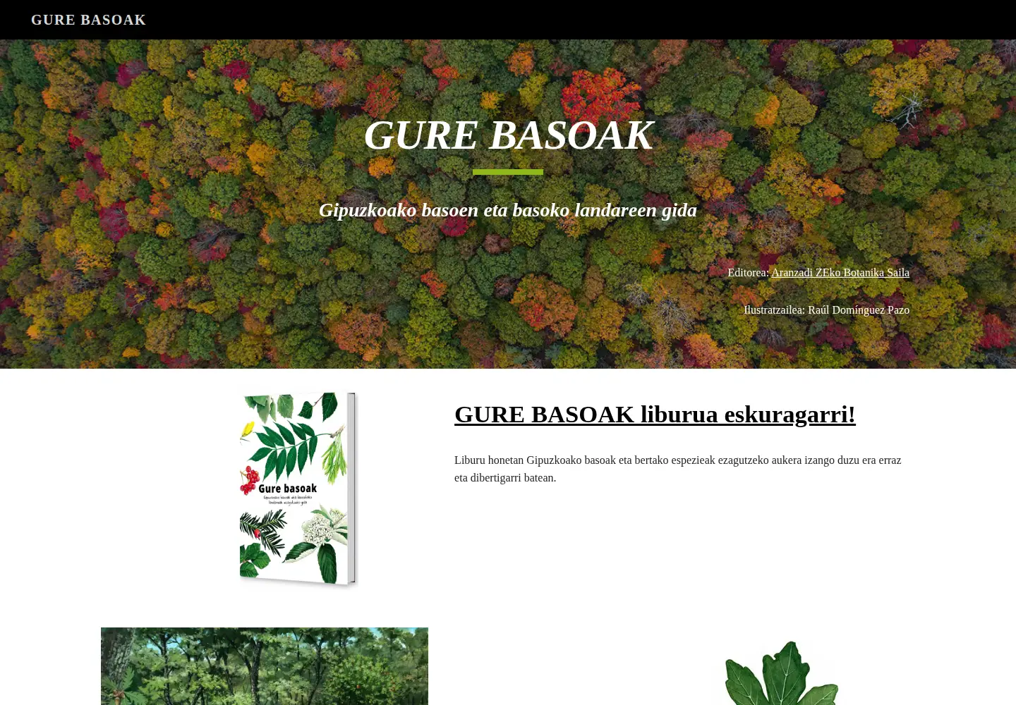 Screenshot of basoak.eus