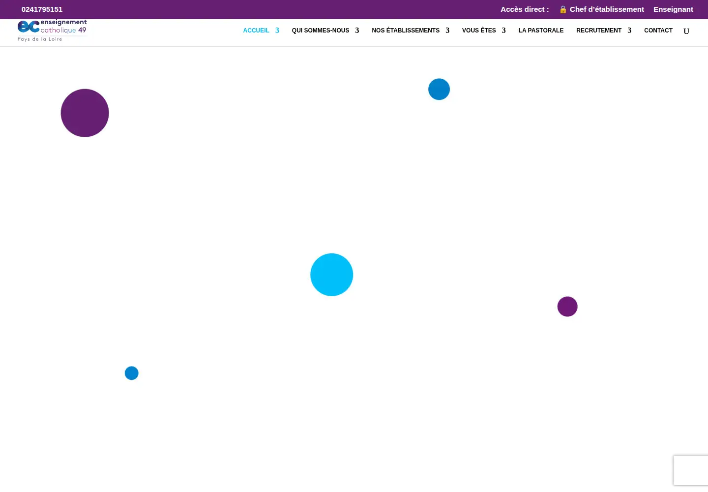 Screenshot of ec49.fr