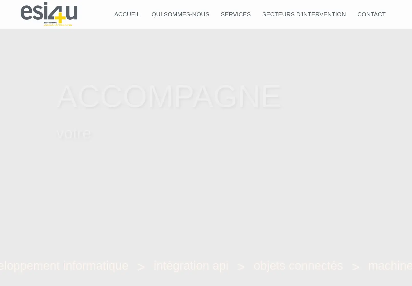 Screenshot of esi4u.fr