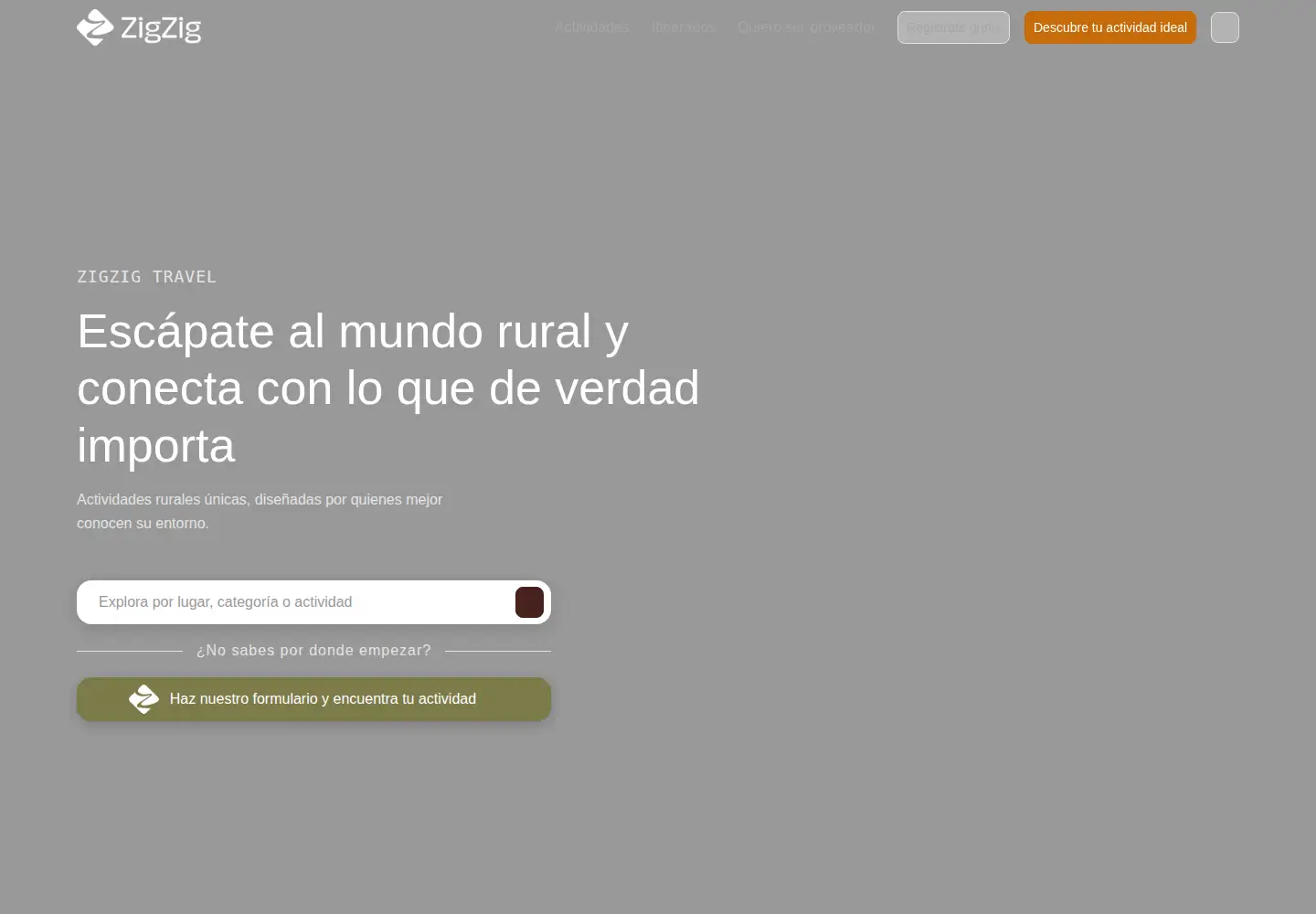 Captured homepage of zigzig.io in the current scan