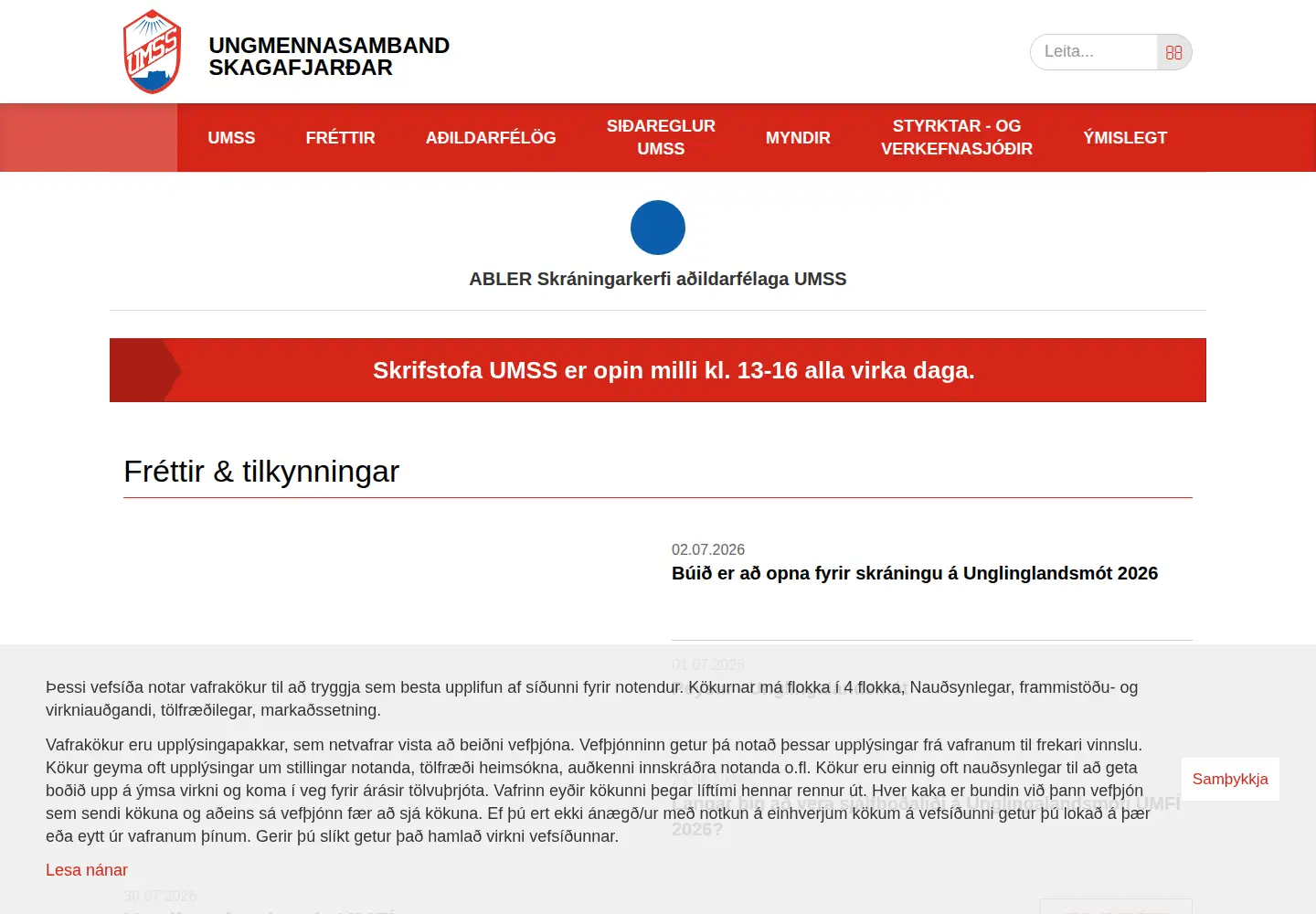 Screenshot of umss.is