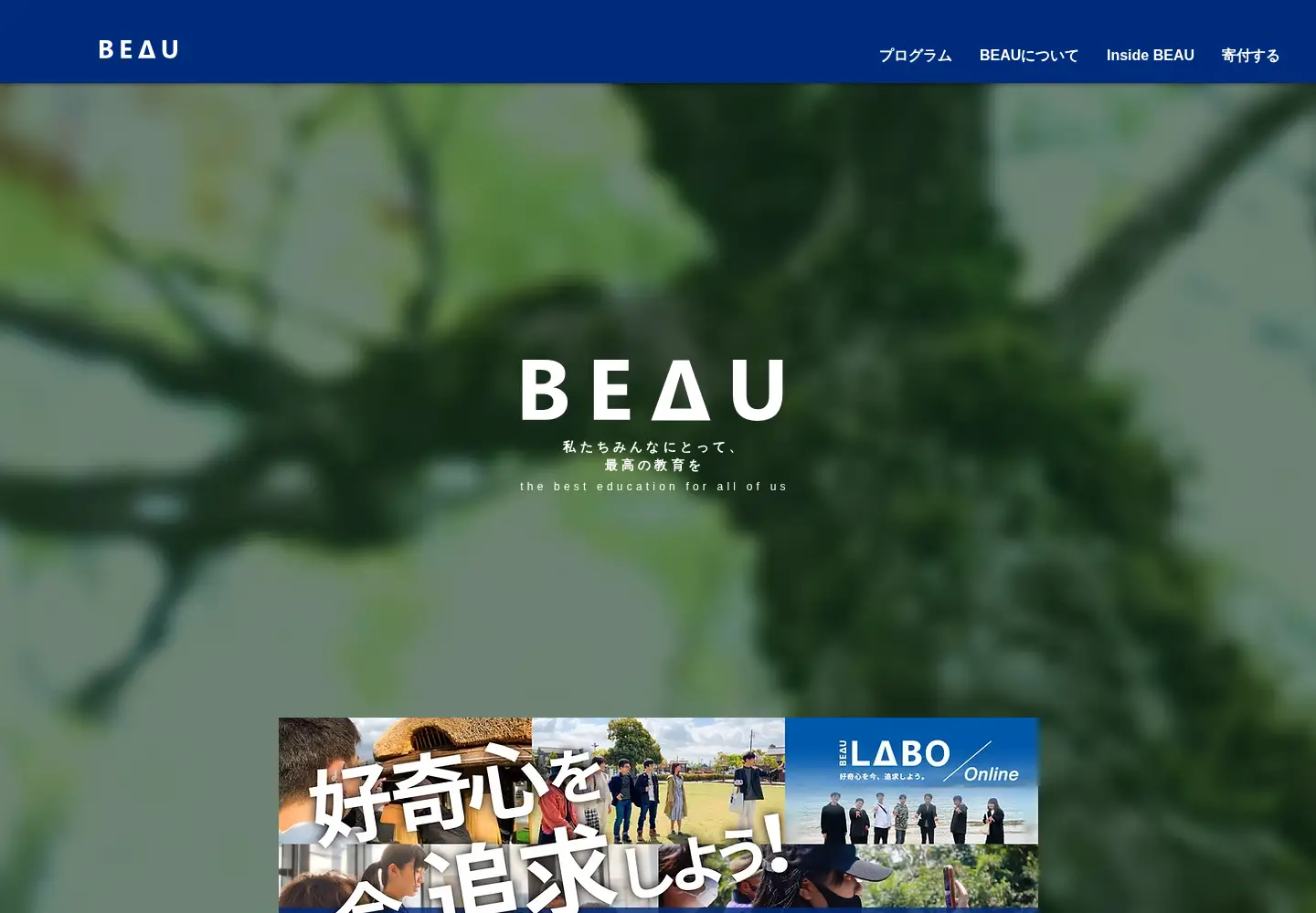 Screenshot of beauproject.net