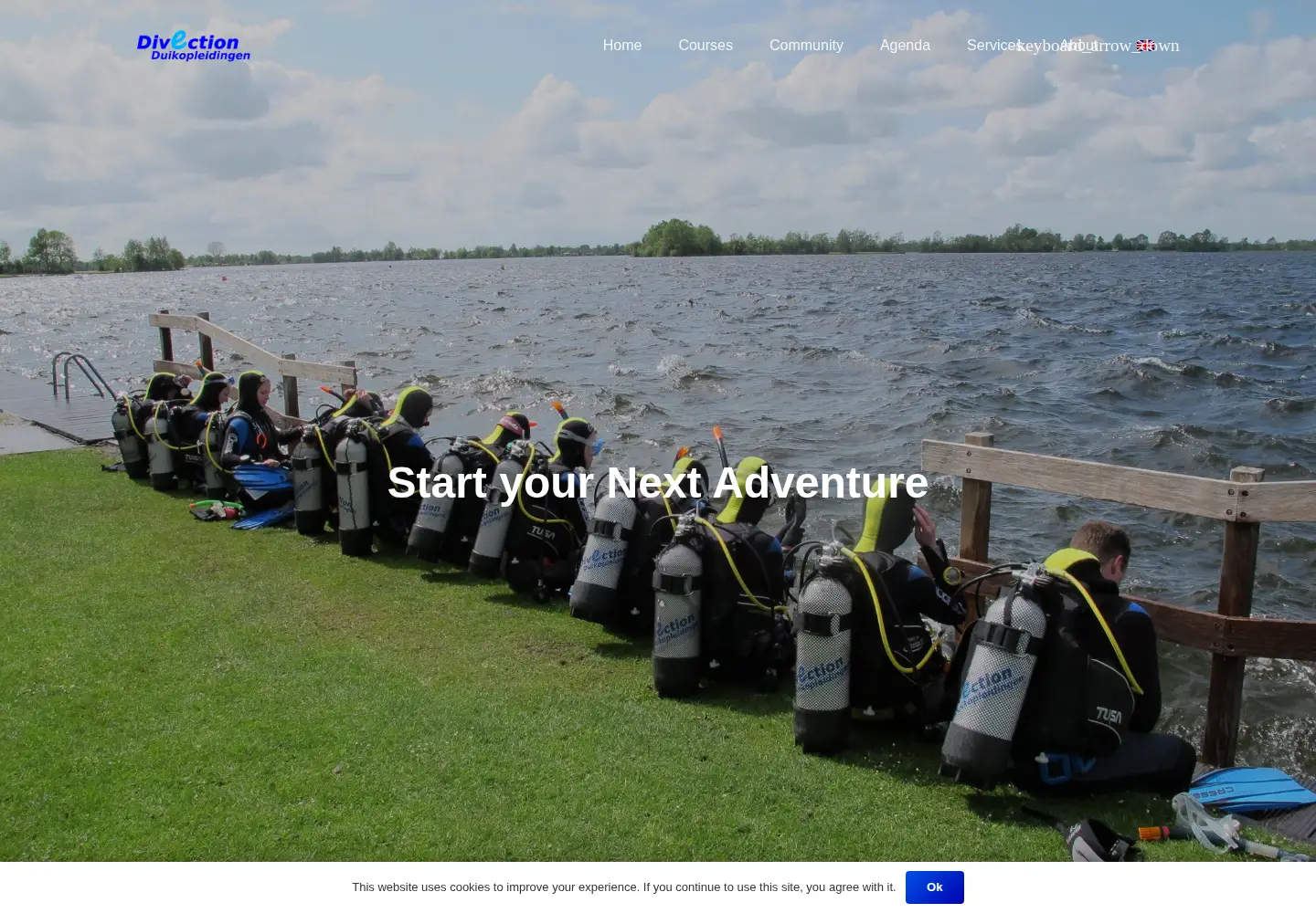 Screenshot of divection.nl