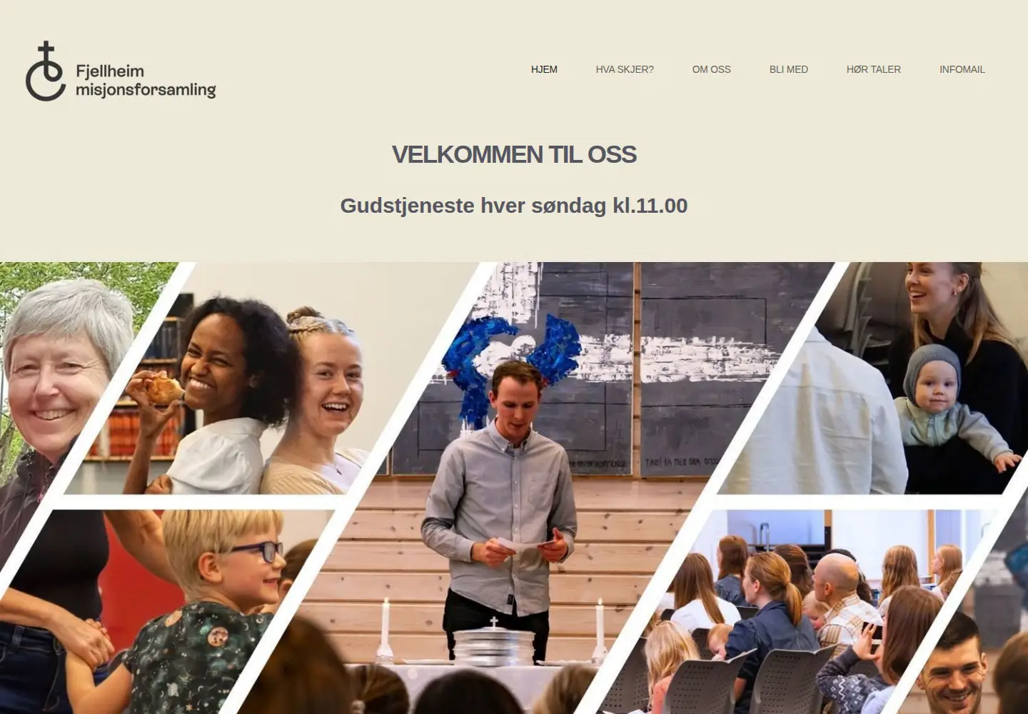 Screenshot of fjellheim.tromso.no