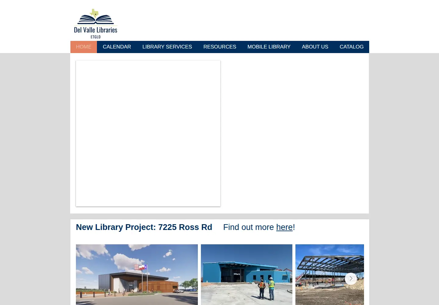 Captured homepage of dvlibraries.org in the current scan