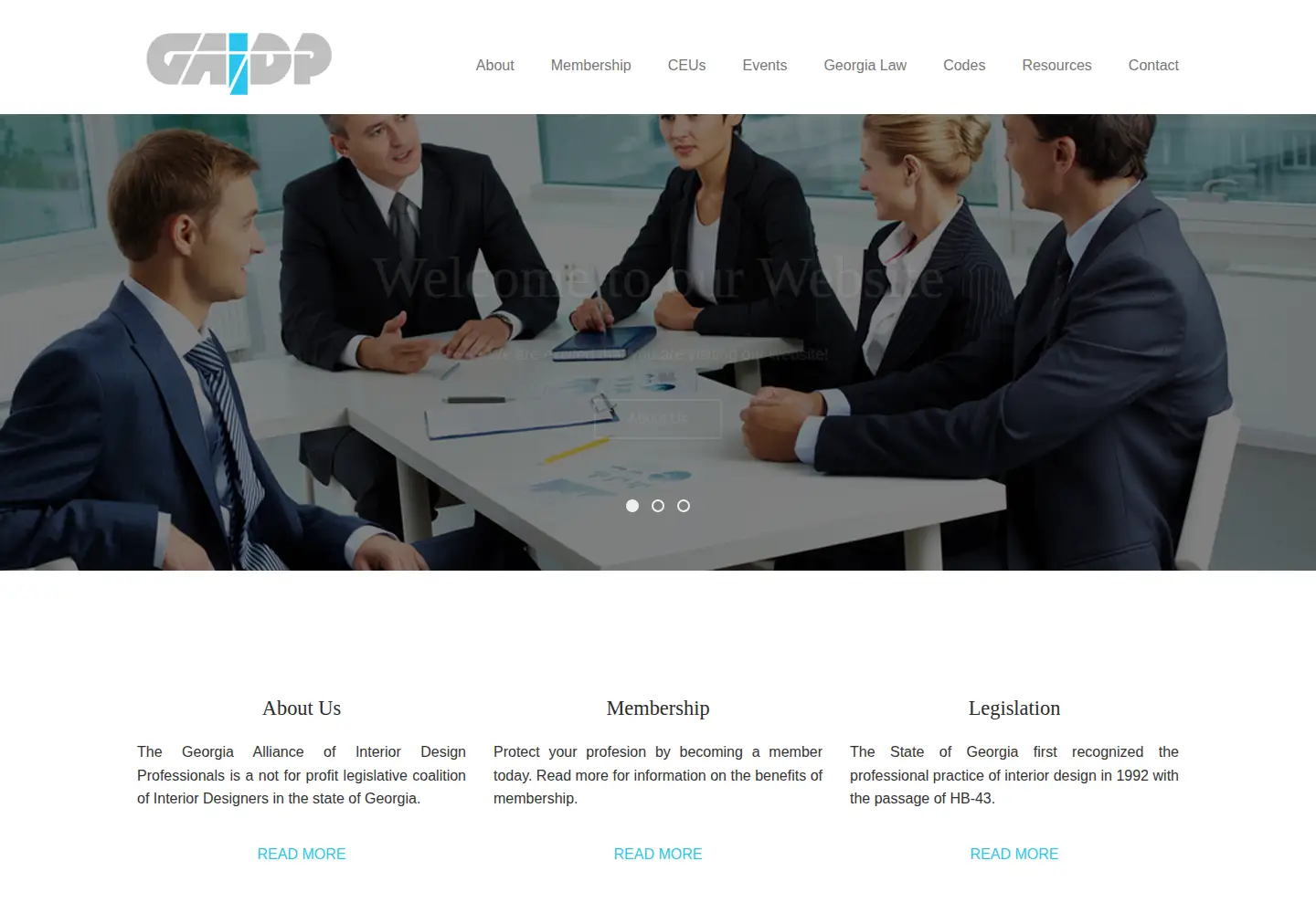 Captured homepage of gaidp.org in the current scan