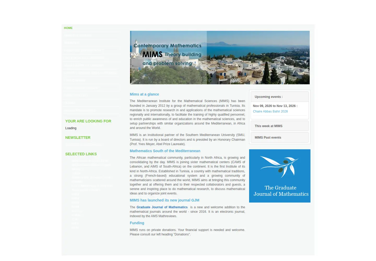 Screenshot of mims-institut.org