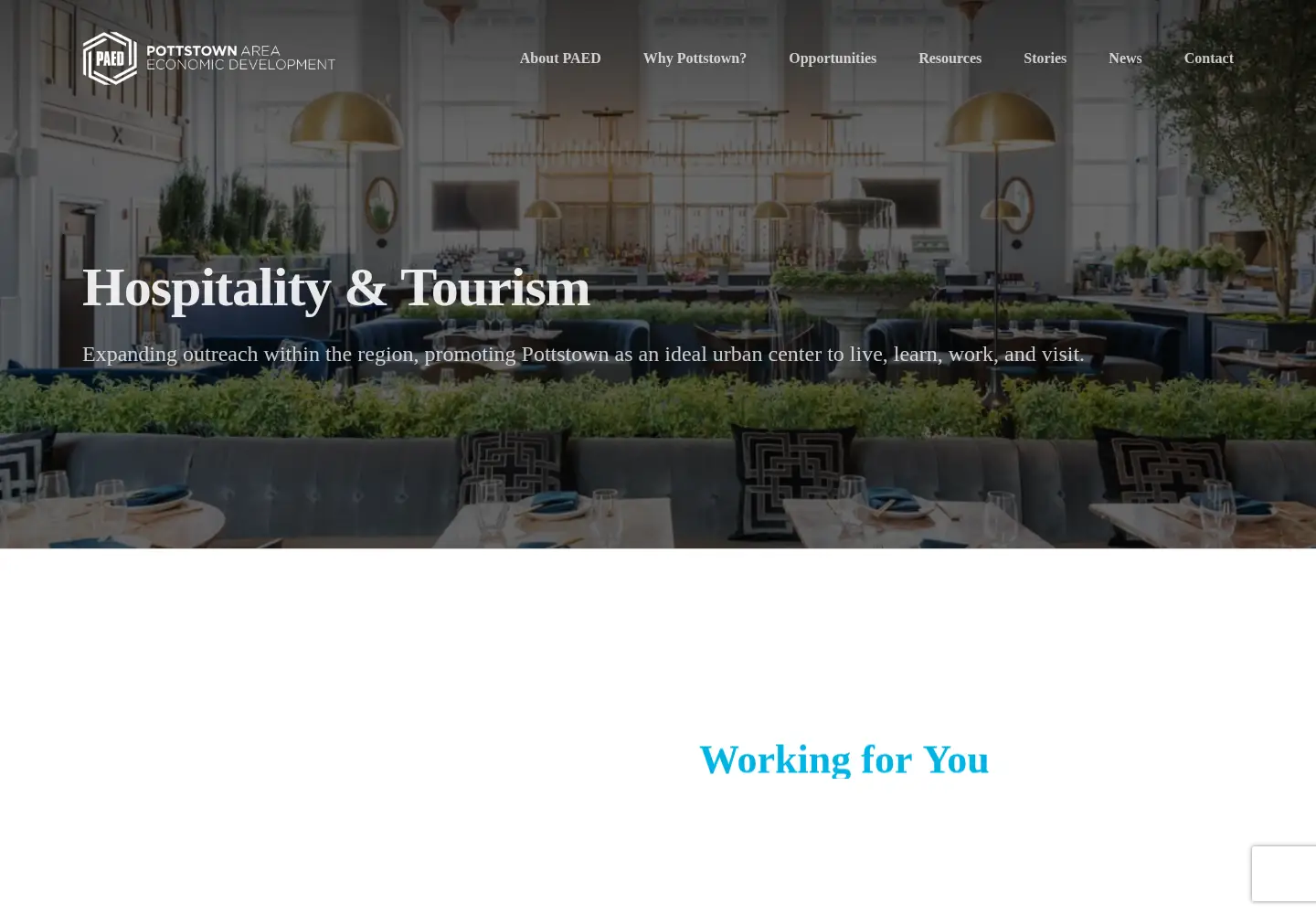 Captured homepage of paidinc.org in the current scan