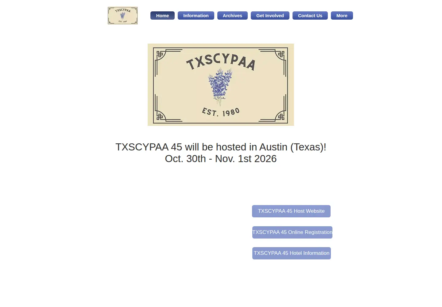 Screenshot of txscypaa.org