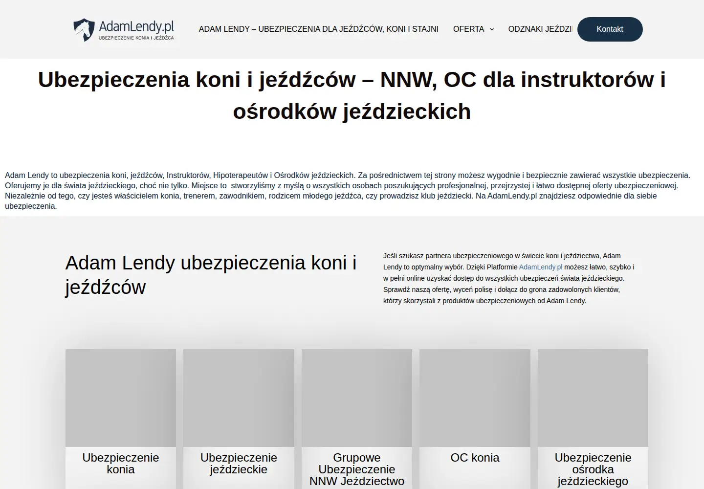 Screenshot of adamlendy.pl