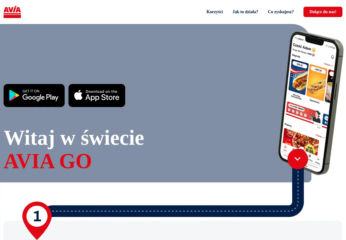 Screenshot of aviago.pl