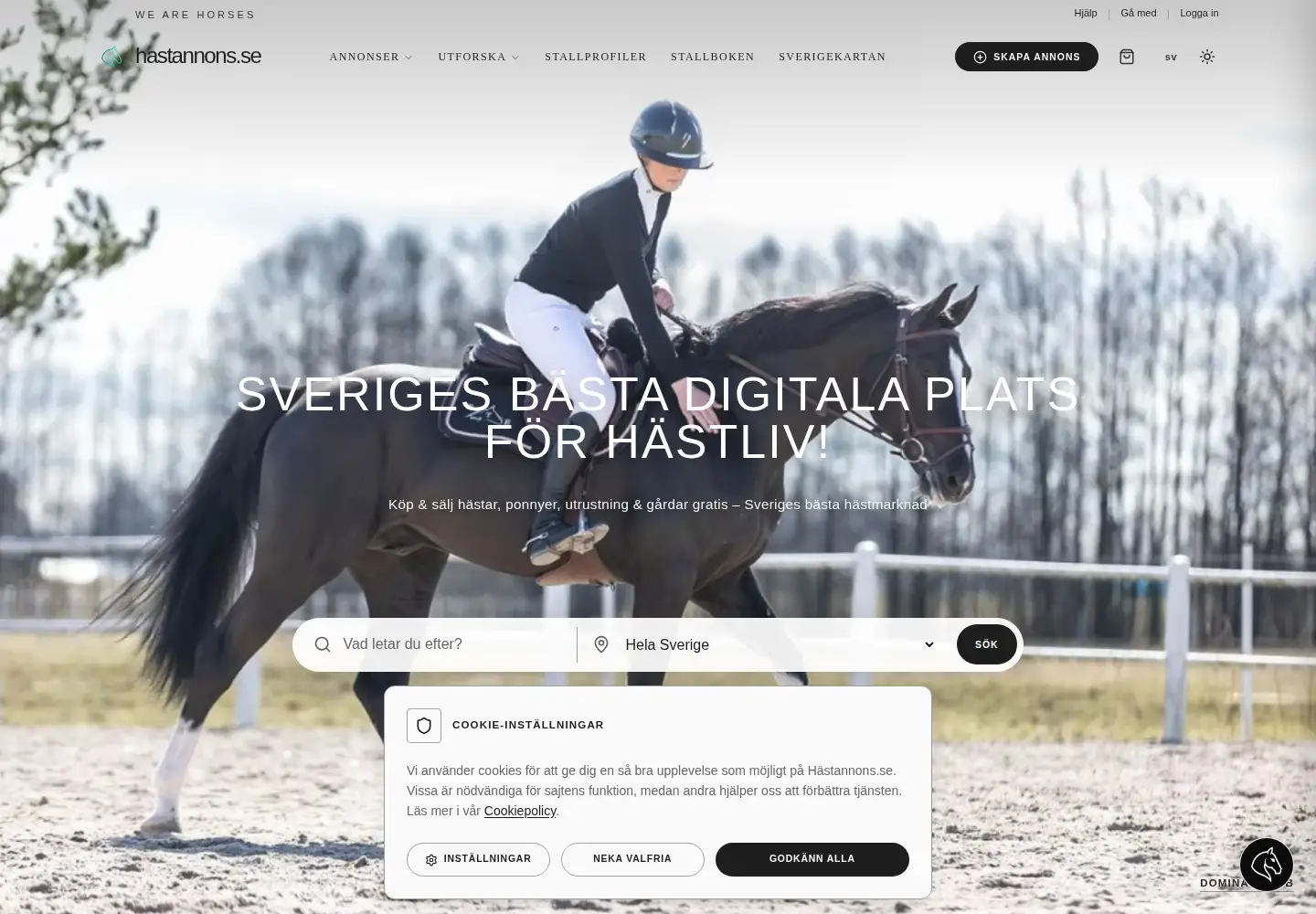 Screenshot of hastannons.se