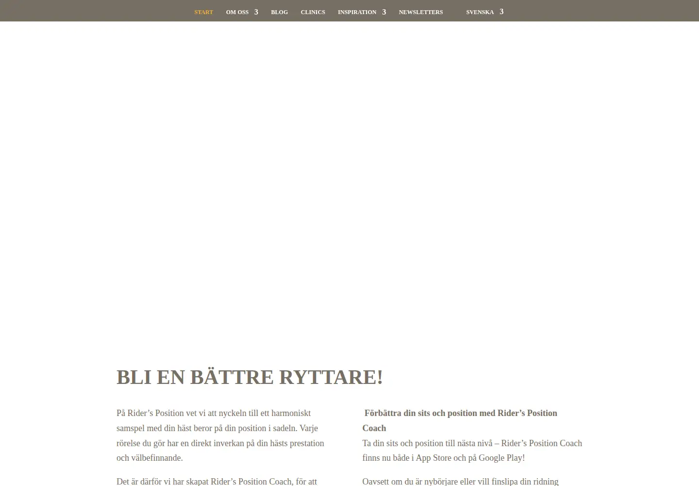 Captured homepage of ridersposition.se in the current scan