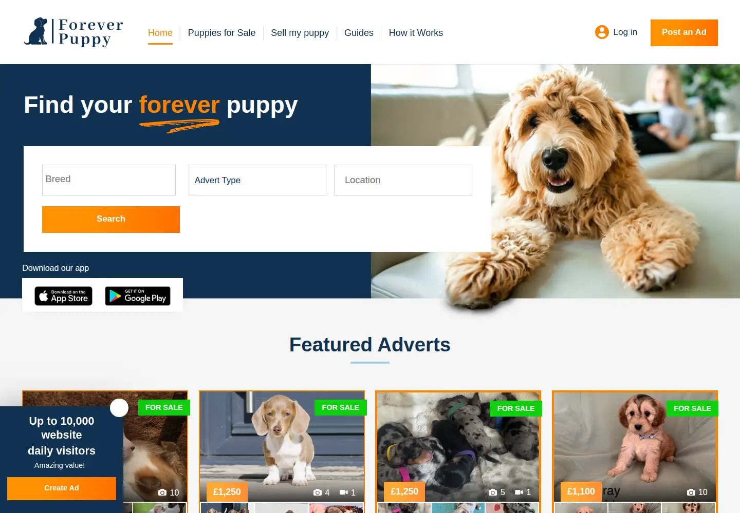 Screenshot of foreverpuppy.co.uk