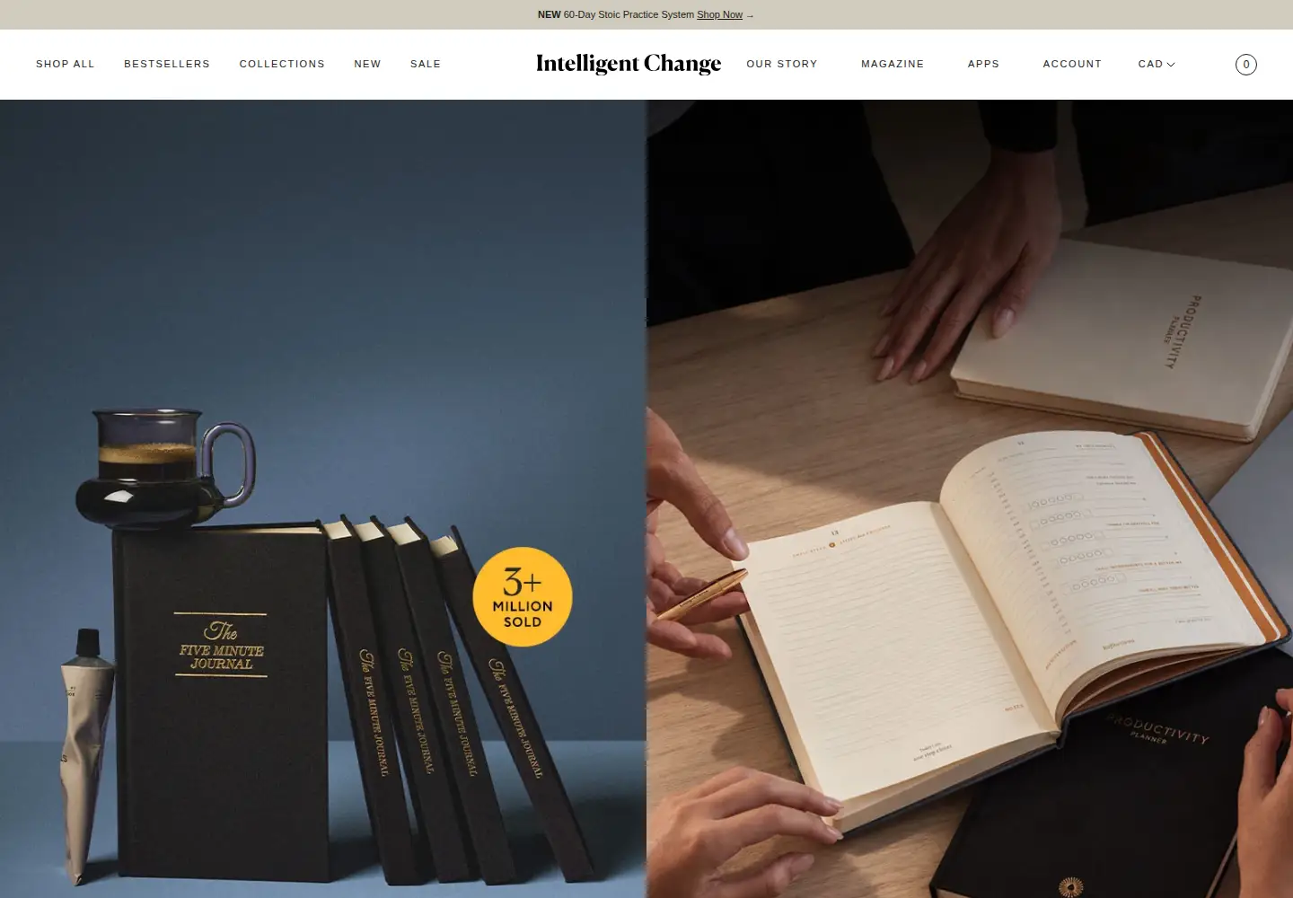 Screenshot of intelligentchange.com