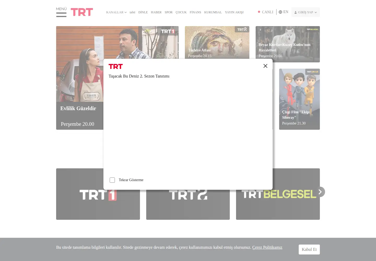 Screenshot of trt.net.tr