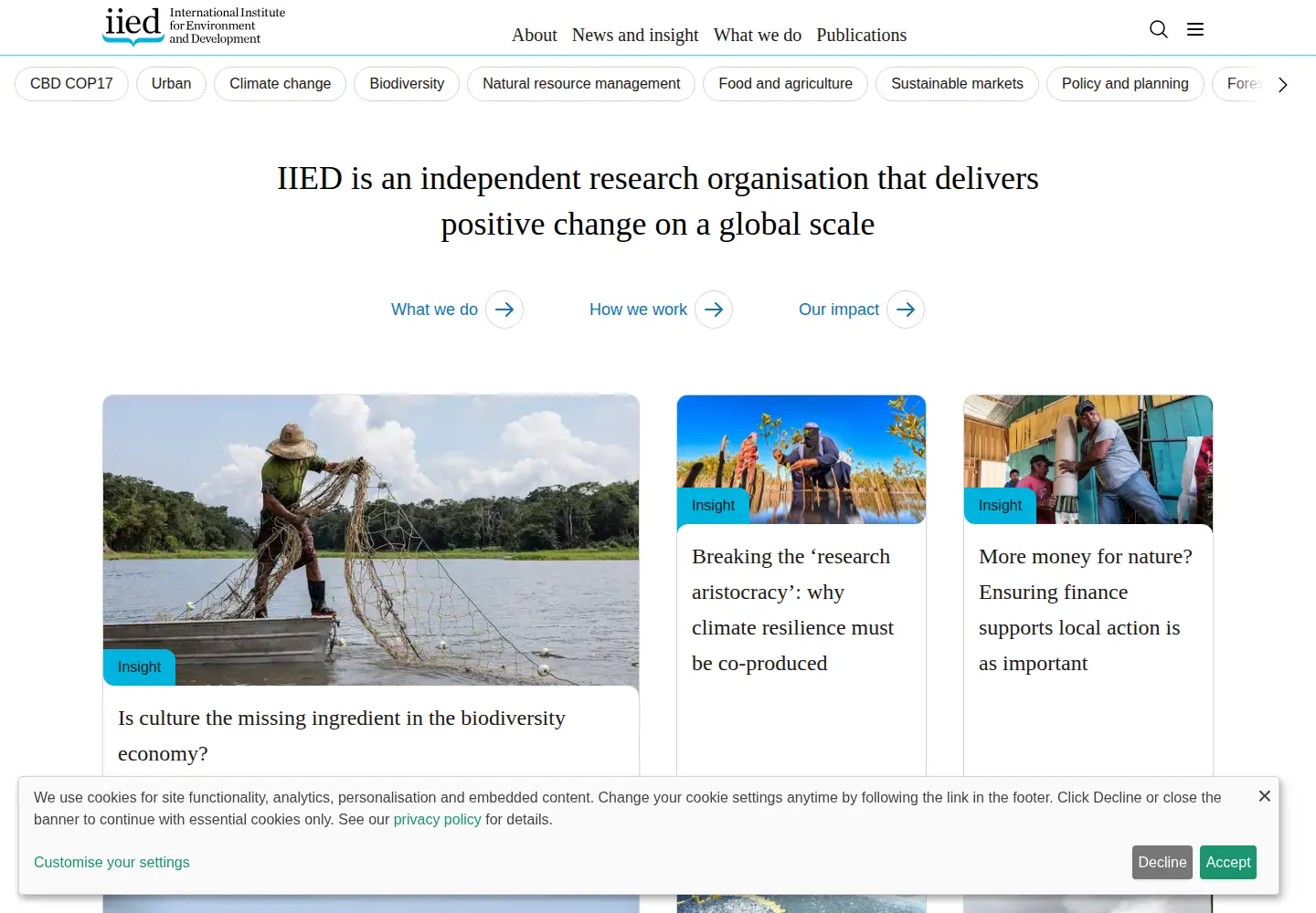 Screenshot of iied.org
