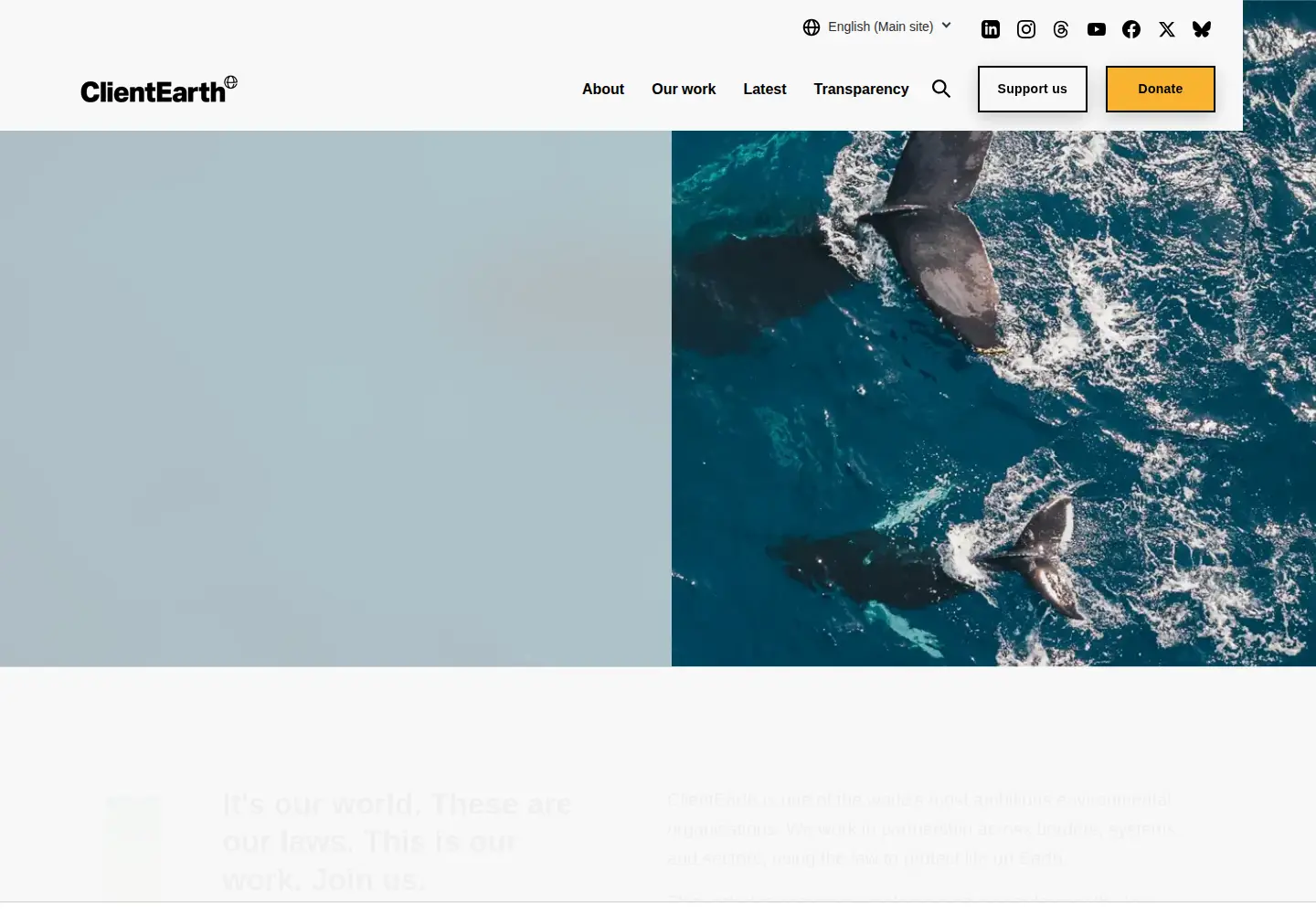Screenshot of clientearth.org