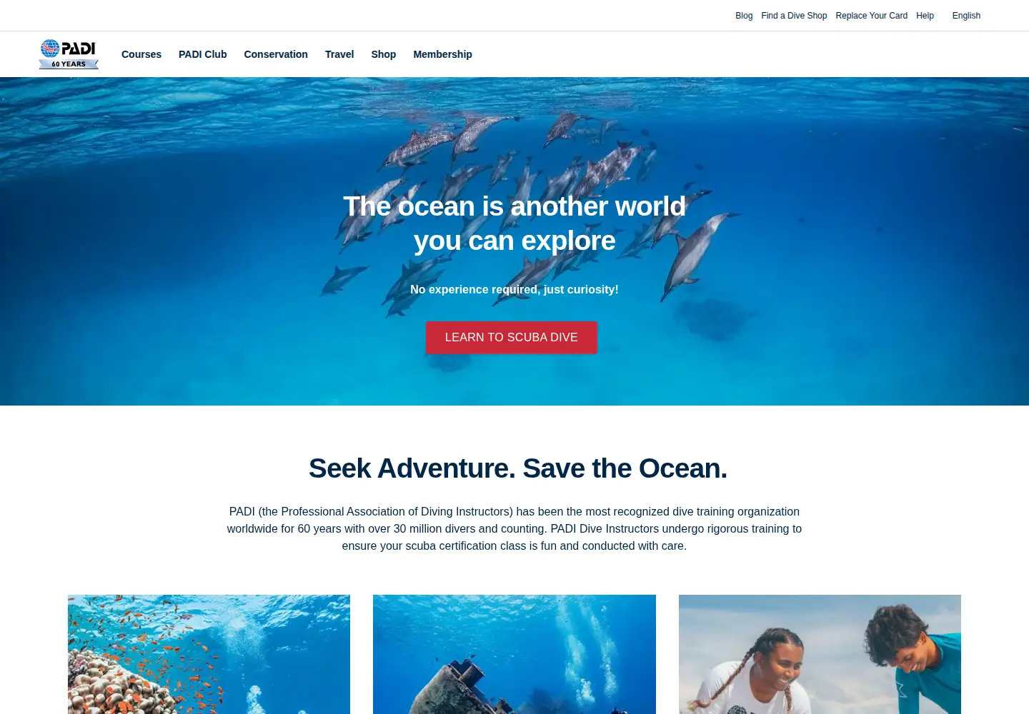 Screenshot of padi.com