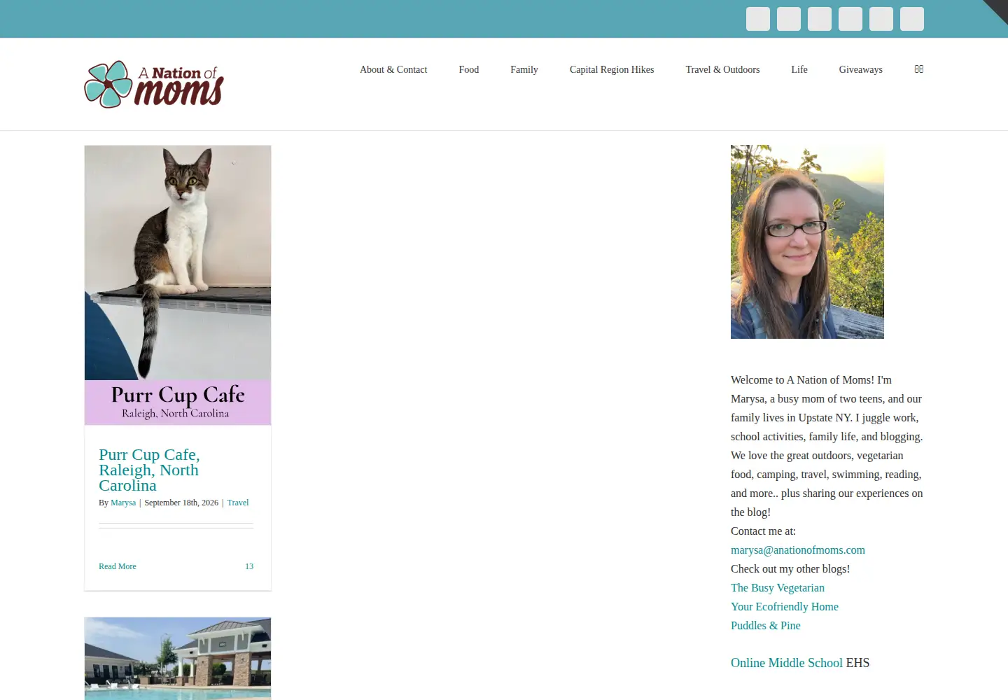 Screenshot of anationofmoms.com