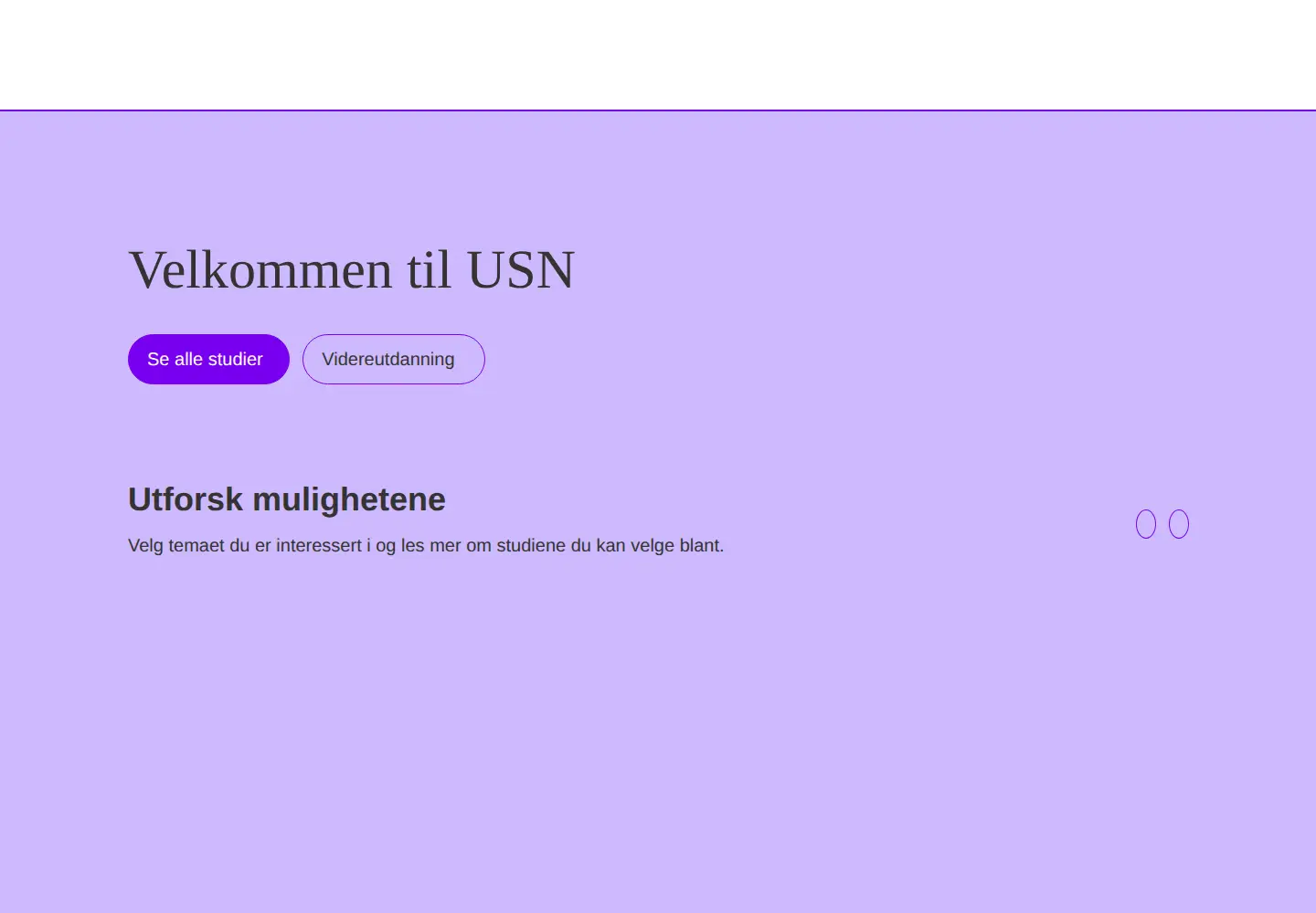 Screenshot of usn.no