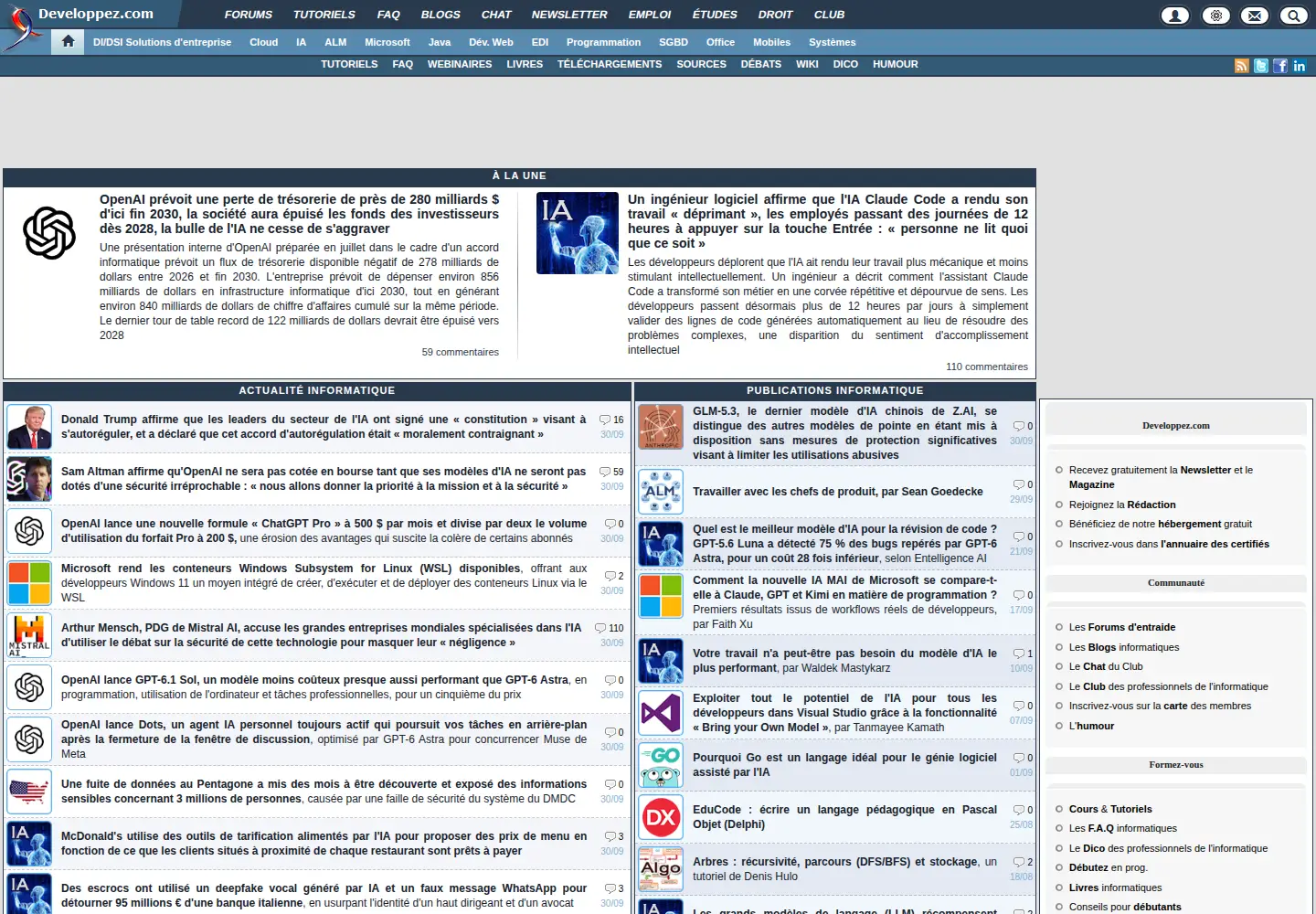 Screenshot of developpez.com