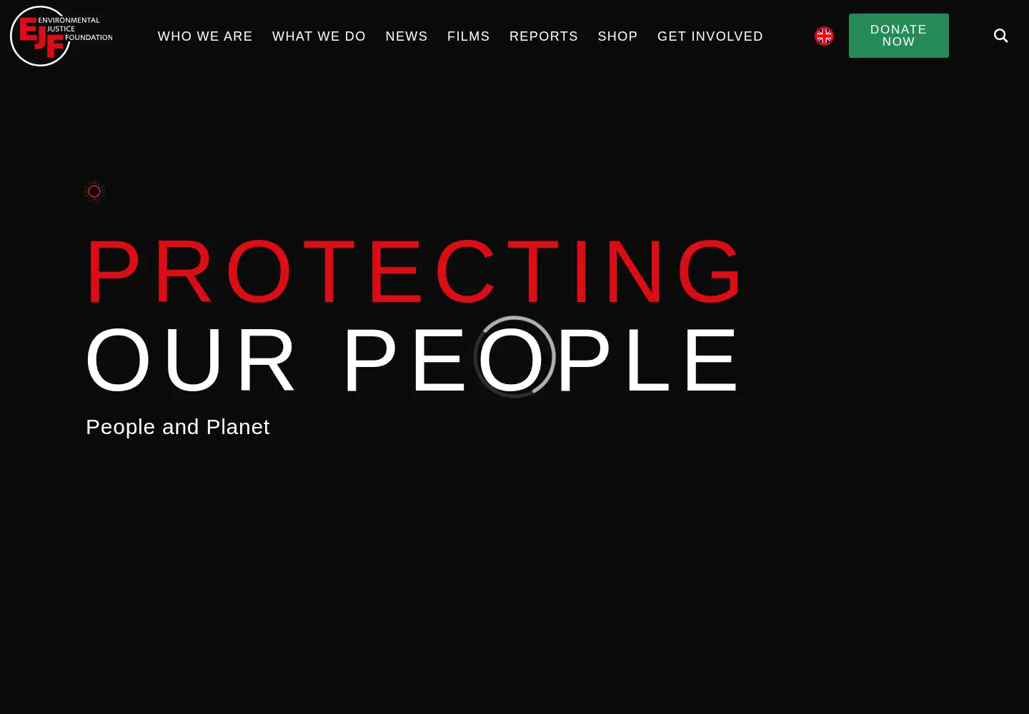 Screenshot of ejfoundation.org