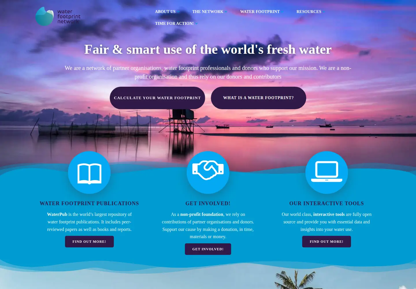 Captured homepage of waterfootprint.org in the current scan