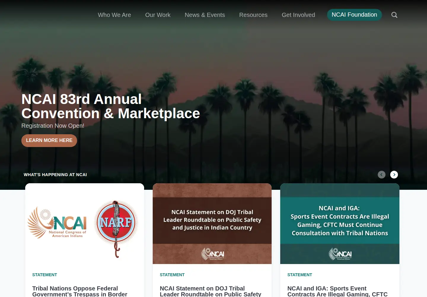 Captured homepage of ncai.org in the current scan