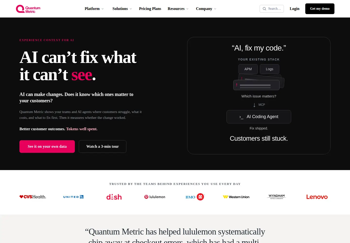 Captured homepage of quantummetric.com in the current scan