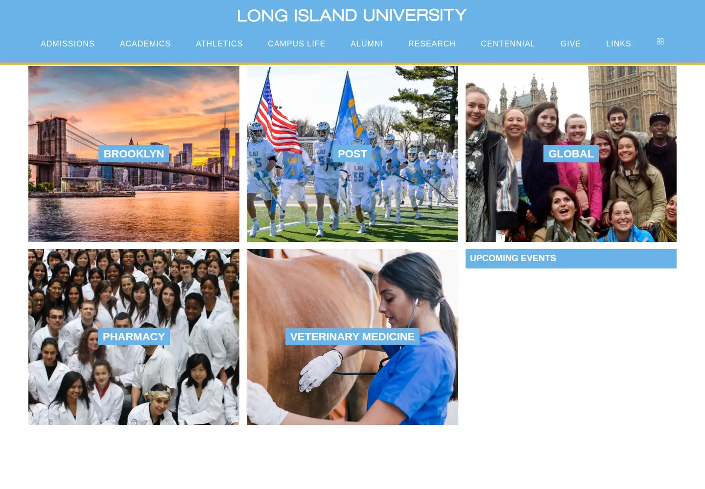 Screenshot of liu.edu