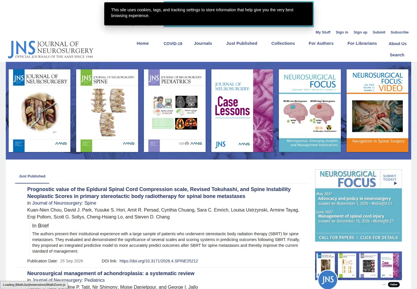 Captured homepage of thejns.org in the current scan