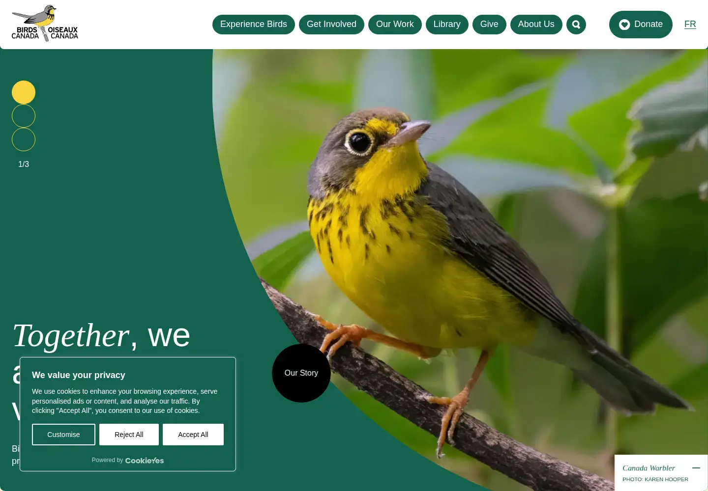 Screenshot of birdscanada.org