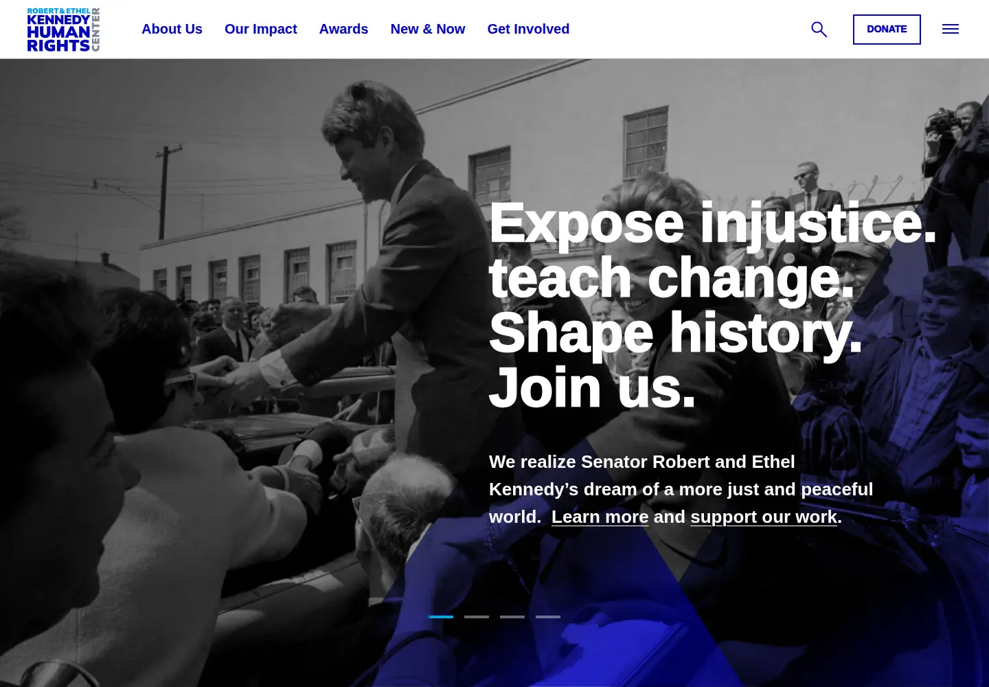 Screenshot of rfkhumanrights.org