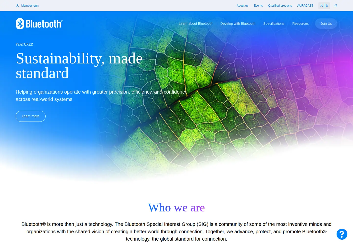 Screenshot of bluetooth.org