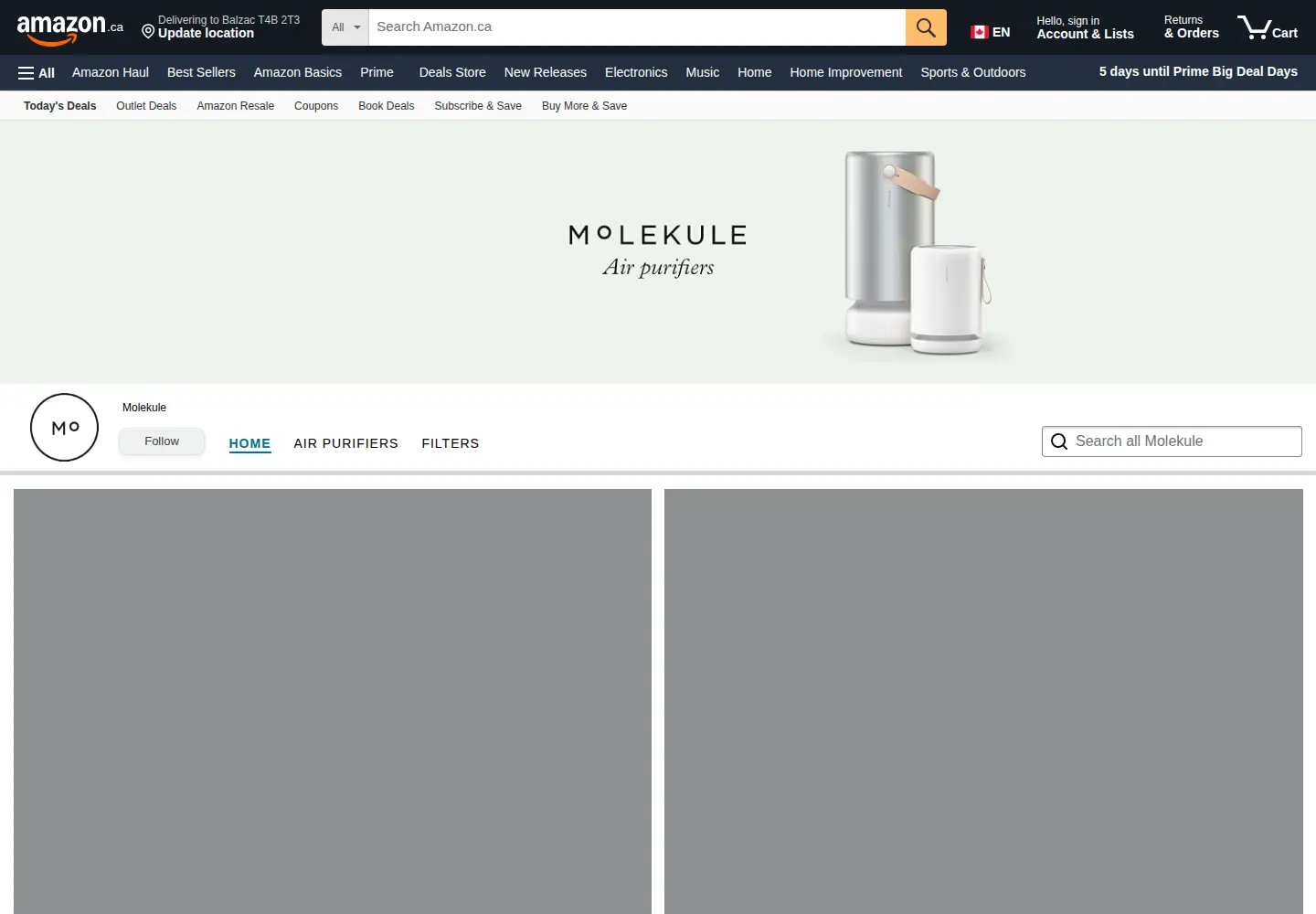 Screenshot of molekule.com