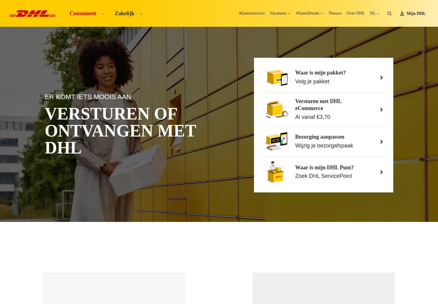 Screenshot of dhlecommerce.nl