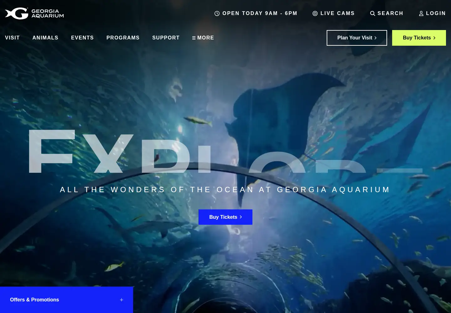 Screenshot of georgiaaquarium.org