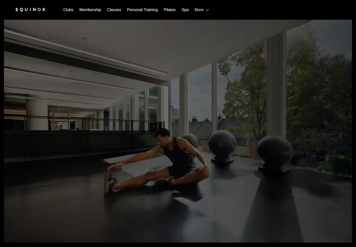 Screenshot of equinox.com