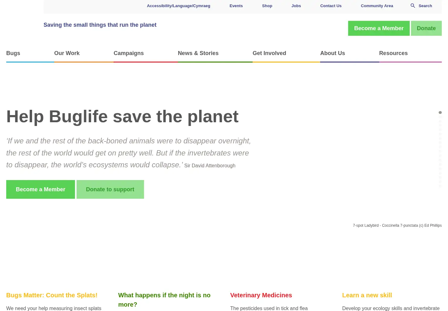 Screenshot of buglife.org.uk