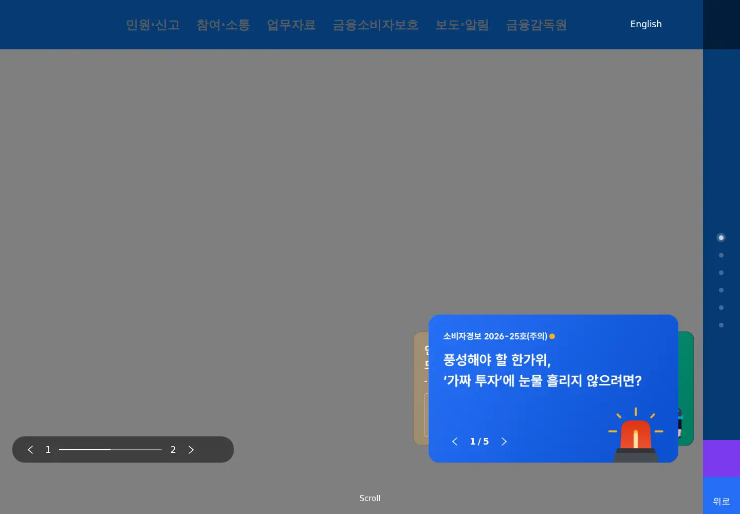 Screenshot of fss.or.kr