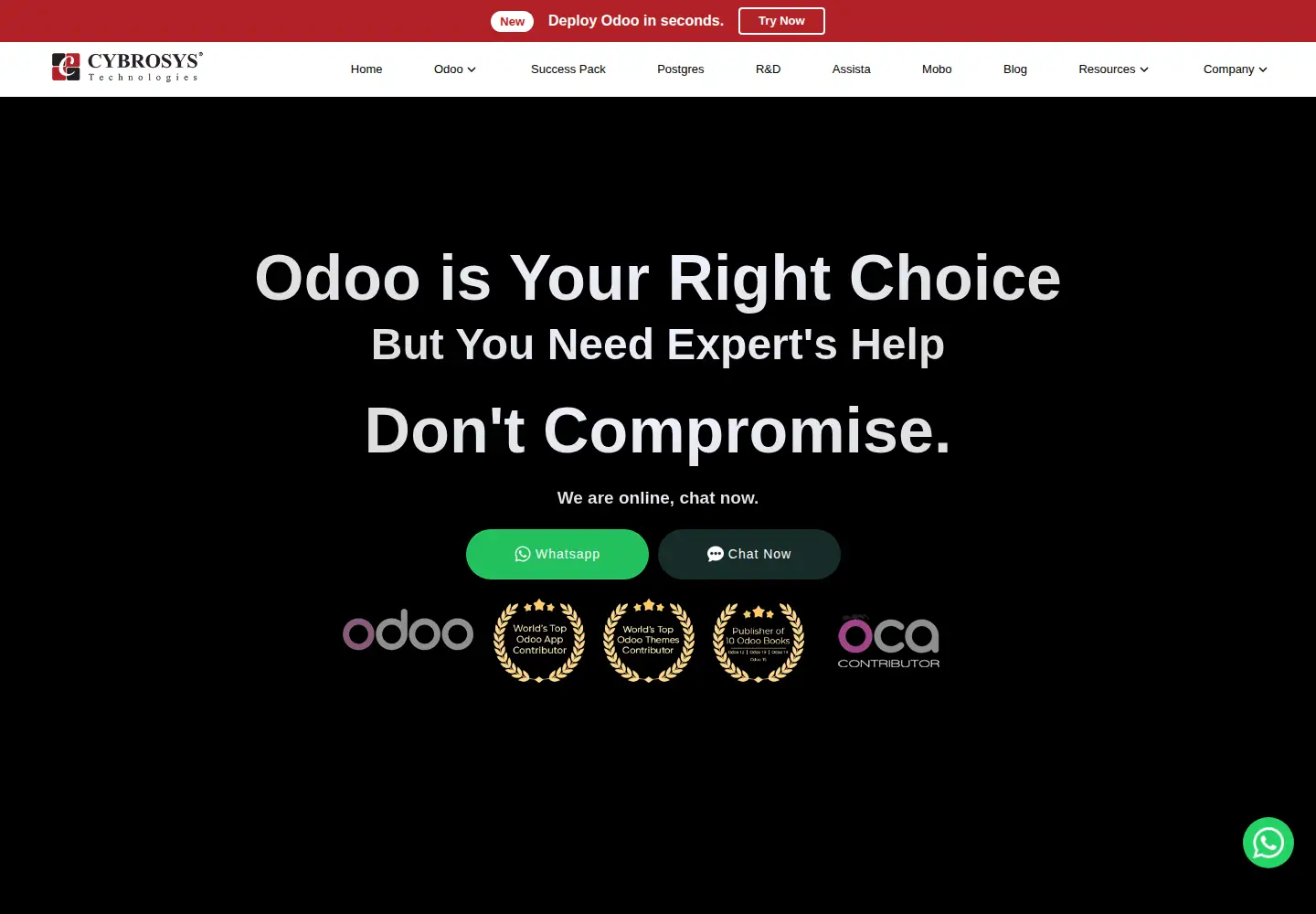 Screenshot of cybrosys.com