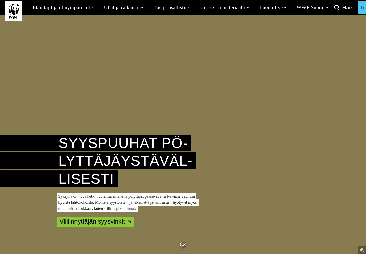Screenshot of wwf.fi