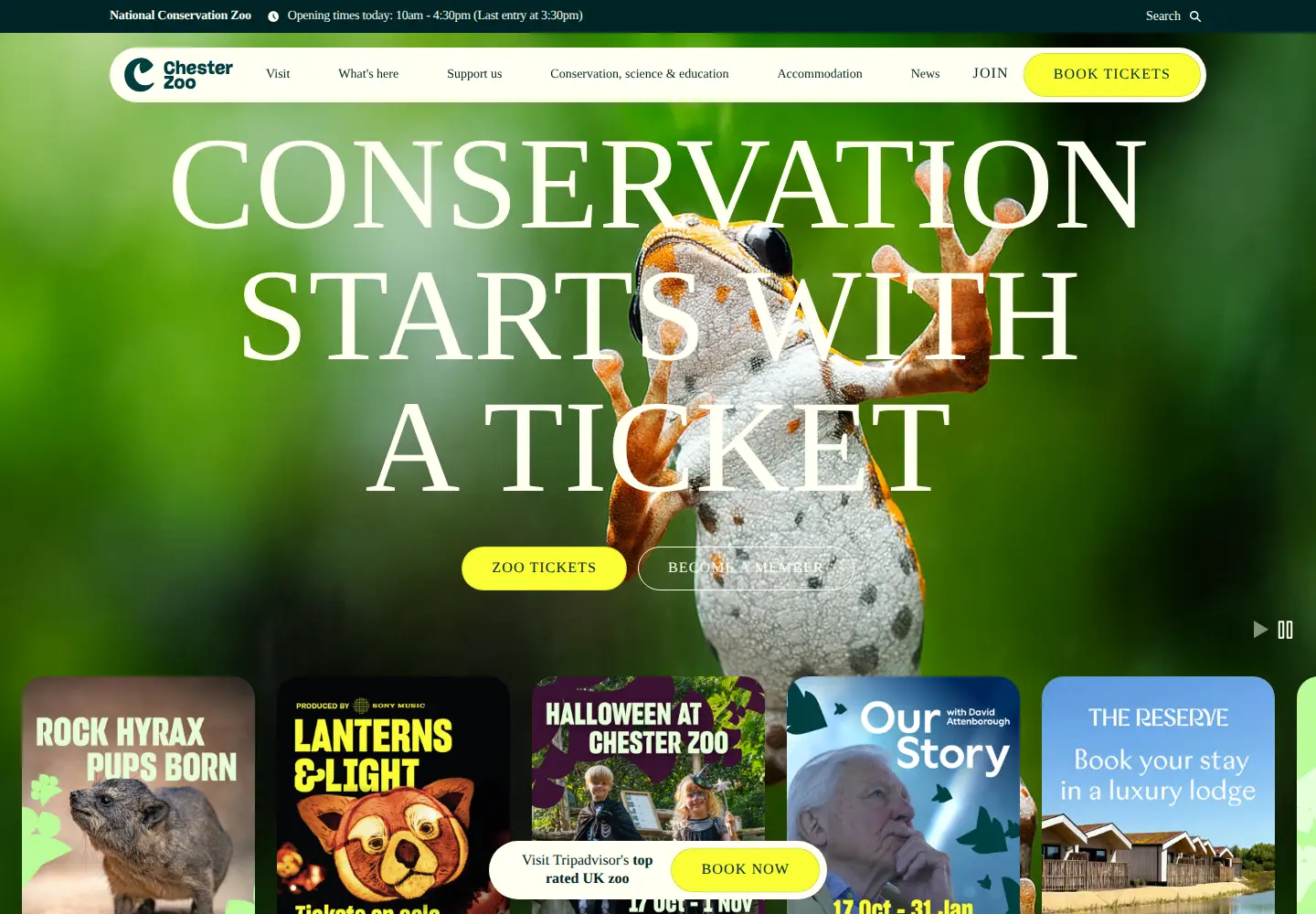 Screenshot of chesterzoo.org