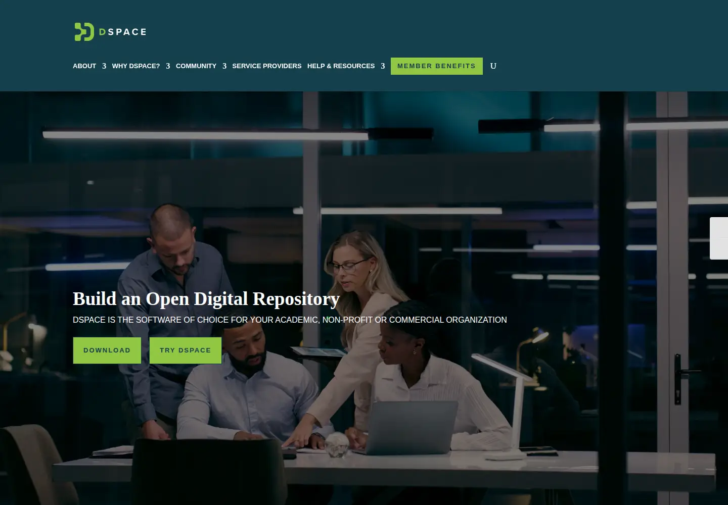 Screenshot of dspace.org