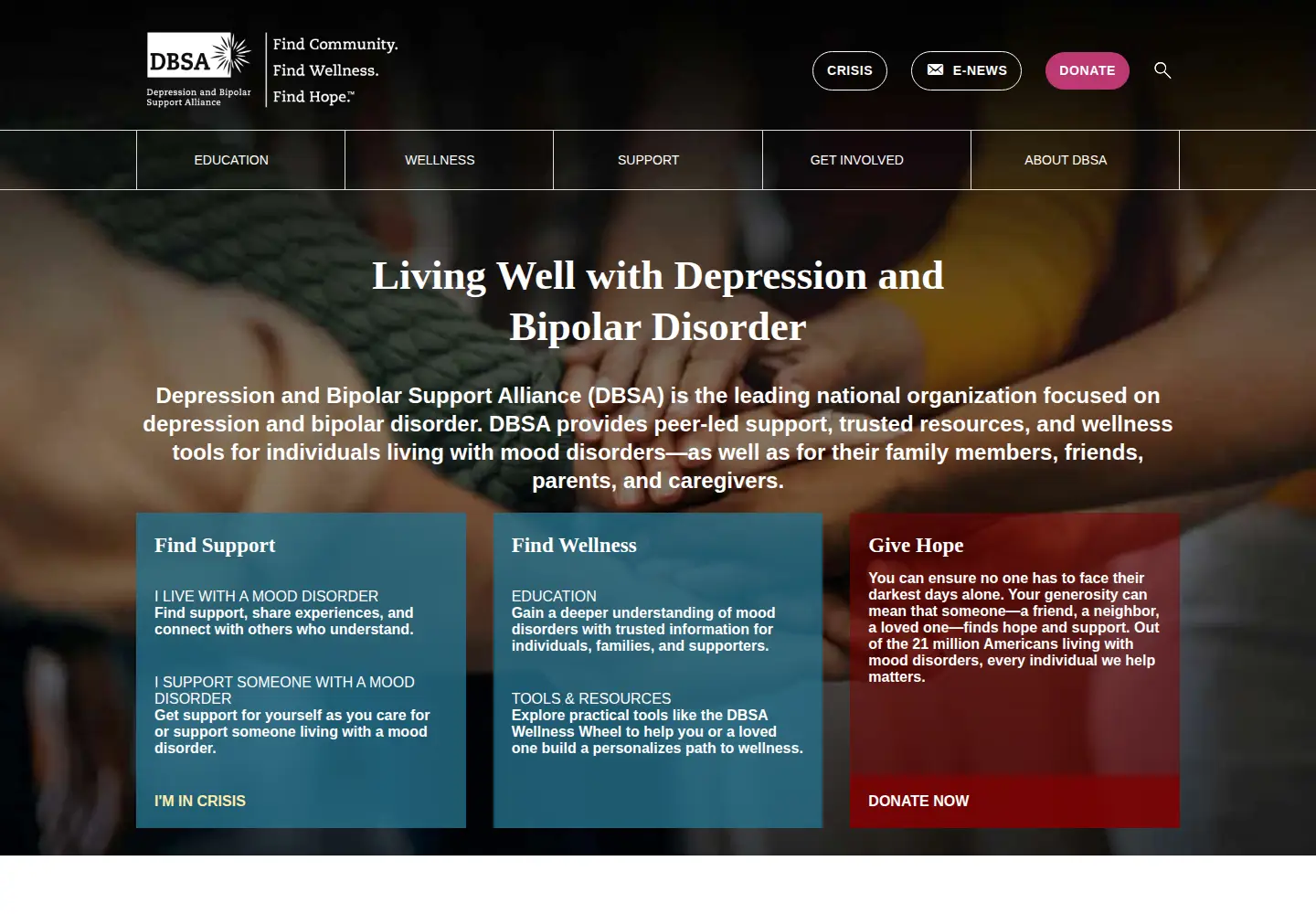 Screenshot of dbsalliance.org