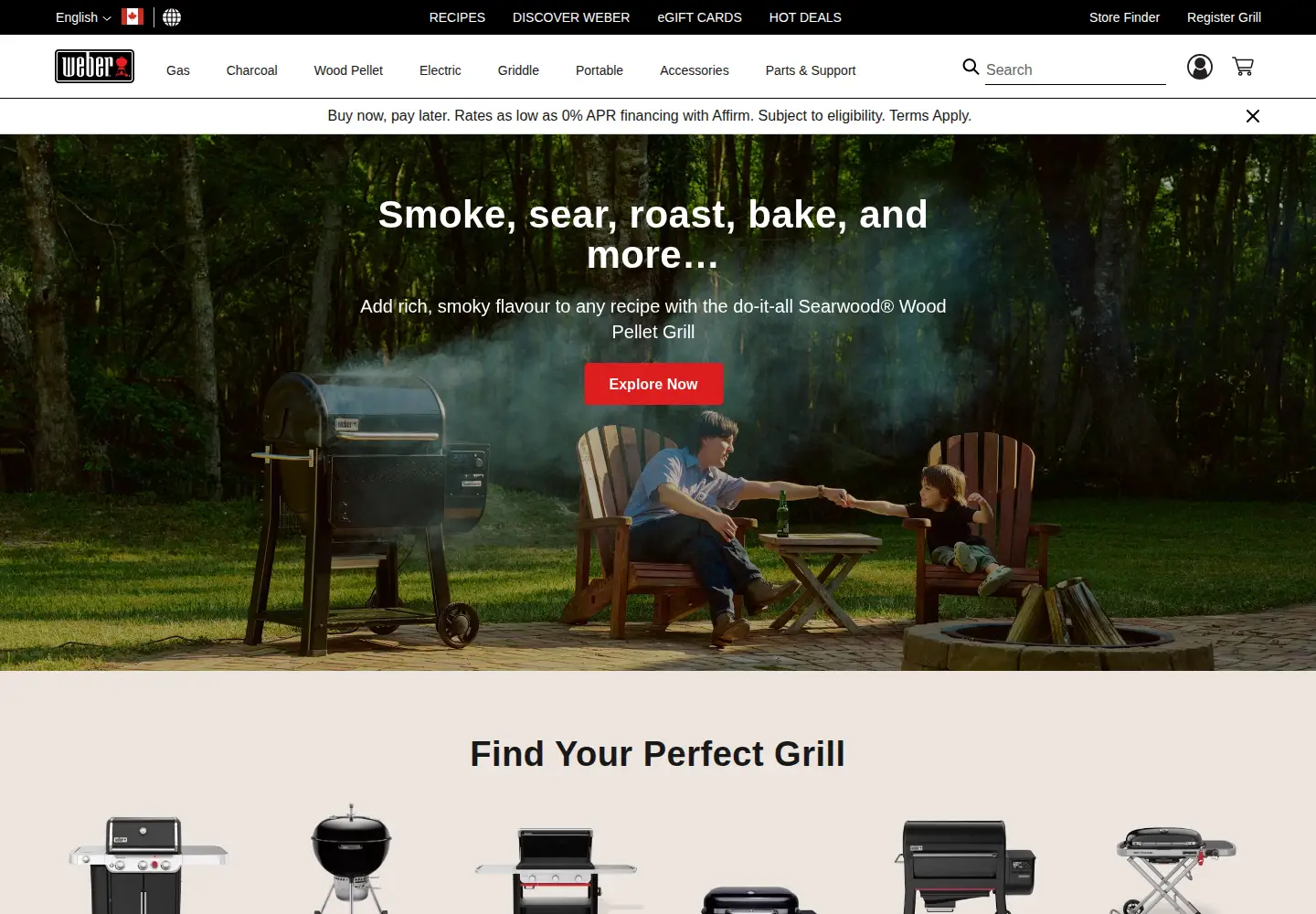 Captured homepage of weber.com in the current scan