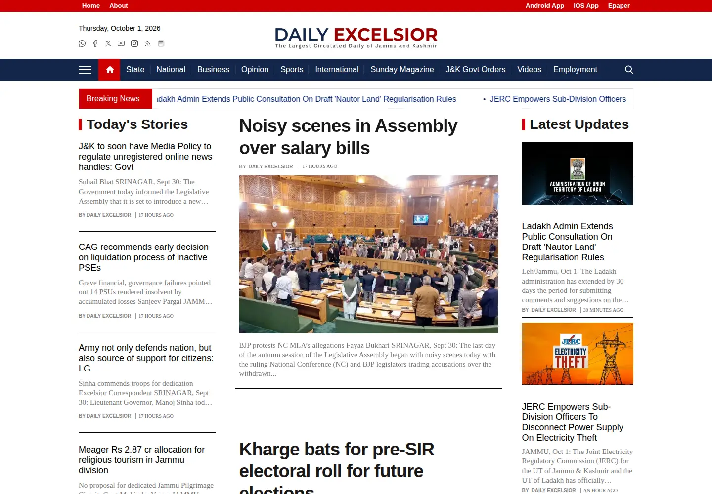 Screenshot of dailyexcelsior.com
