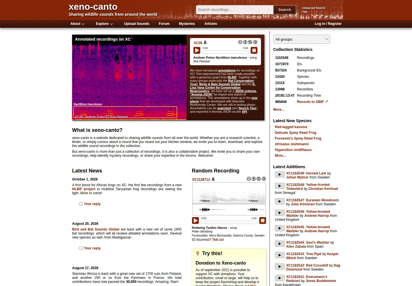 Screenshot of xeno-canto.org