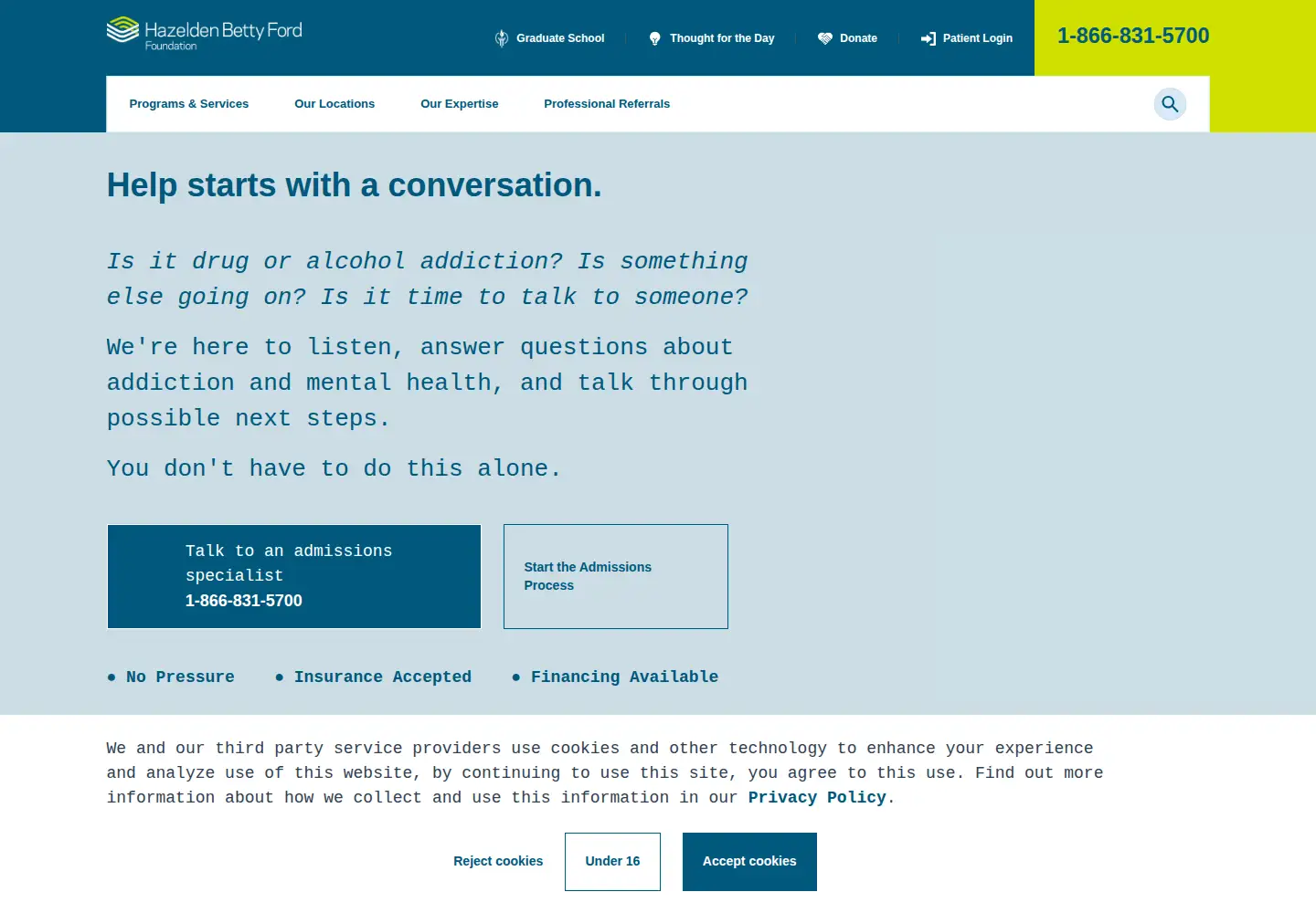 Screenshot of hazeldenbettyford.org